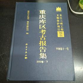 重庆库区考古报告集 2002卷 上、中、下册