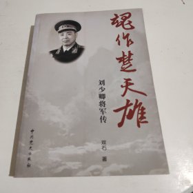 魂作楚天雄：刘少卿将军传