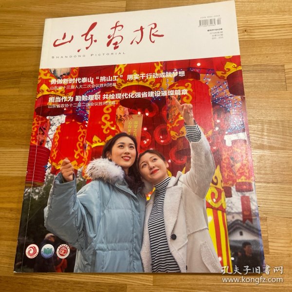 山东画报 2019年第2期 （总第592期）