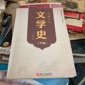 中国古代文学史 下册 王淮喜 编