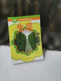 生菜种植技术