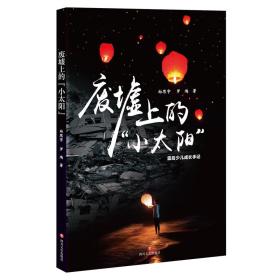 全新正版 废墟上的小太阳(震后少儿成长手记) 向思宇//罗鸿|责编:朱兰//蔡曦 9787541150579 四川文艺