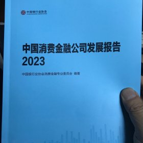 中国消费金融公司发展报告2023（全新）