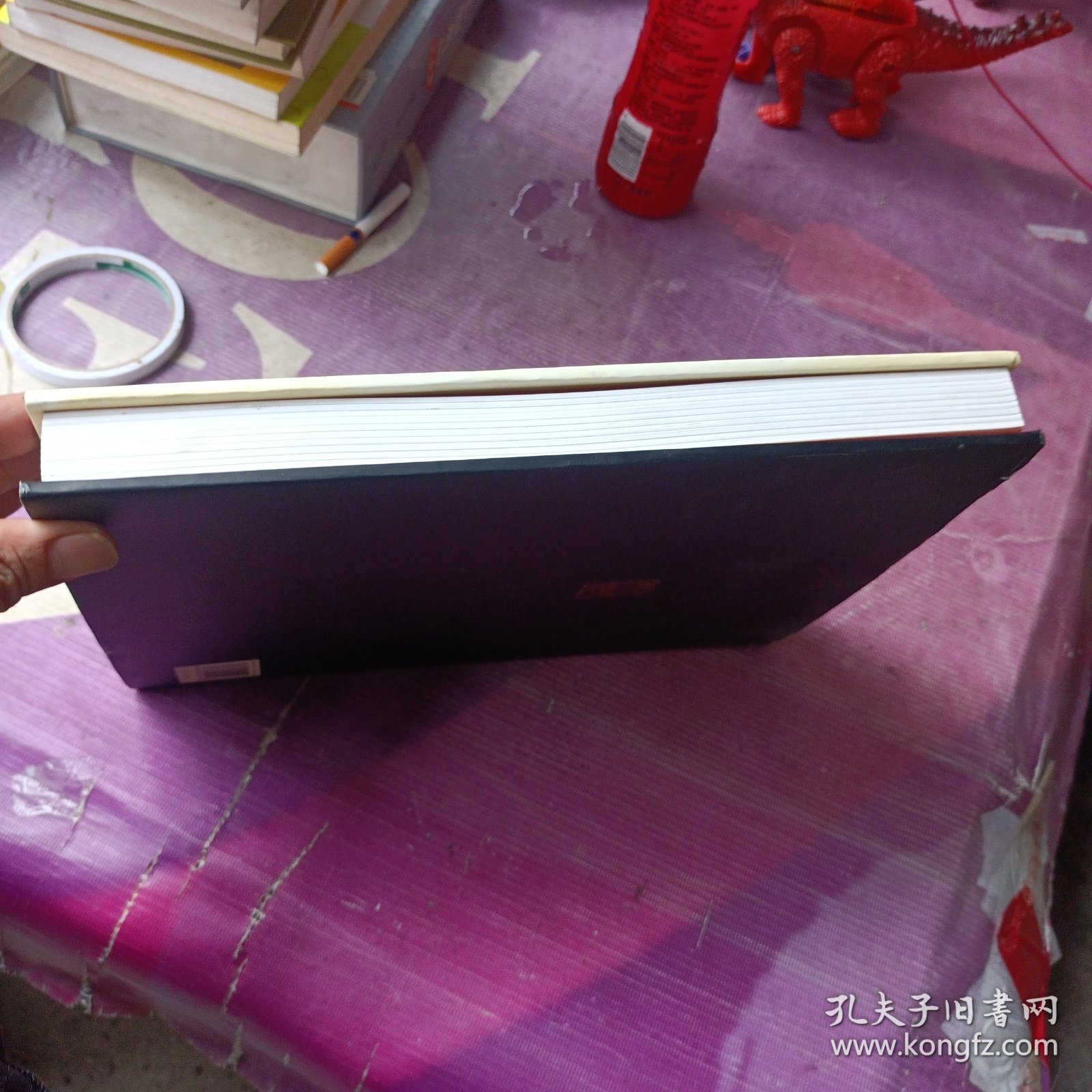 点击查看原图 白石女弟子郭秀仪画册(中英文)