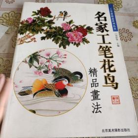 名家工笔花鸟  精品画法  品佳如图