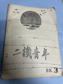 八十年代图文并茂的油印文艺刊物：二机青年（安徽二纺机械厂）1988年2、3两期合售。