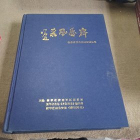 齐鲁风采山东省著名书画家精品集。