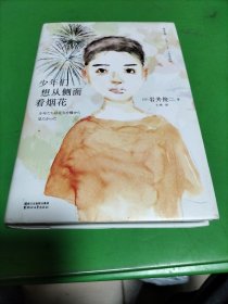 少年们想从侧面看烟花