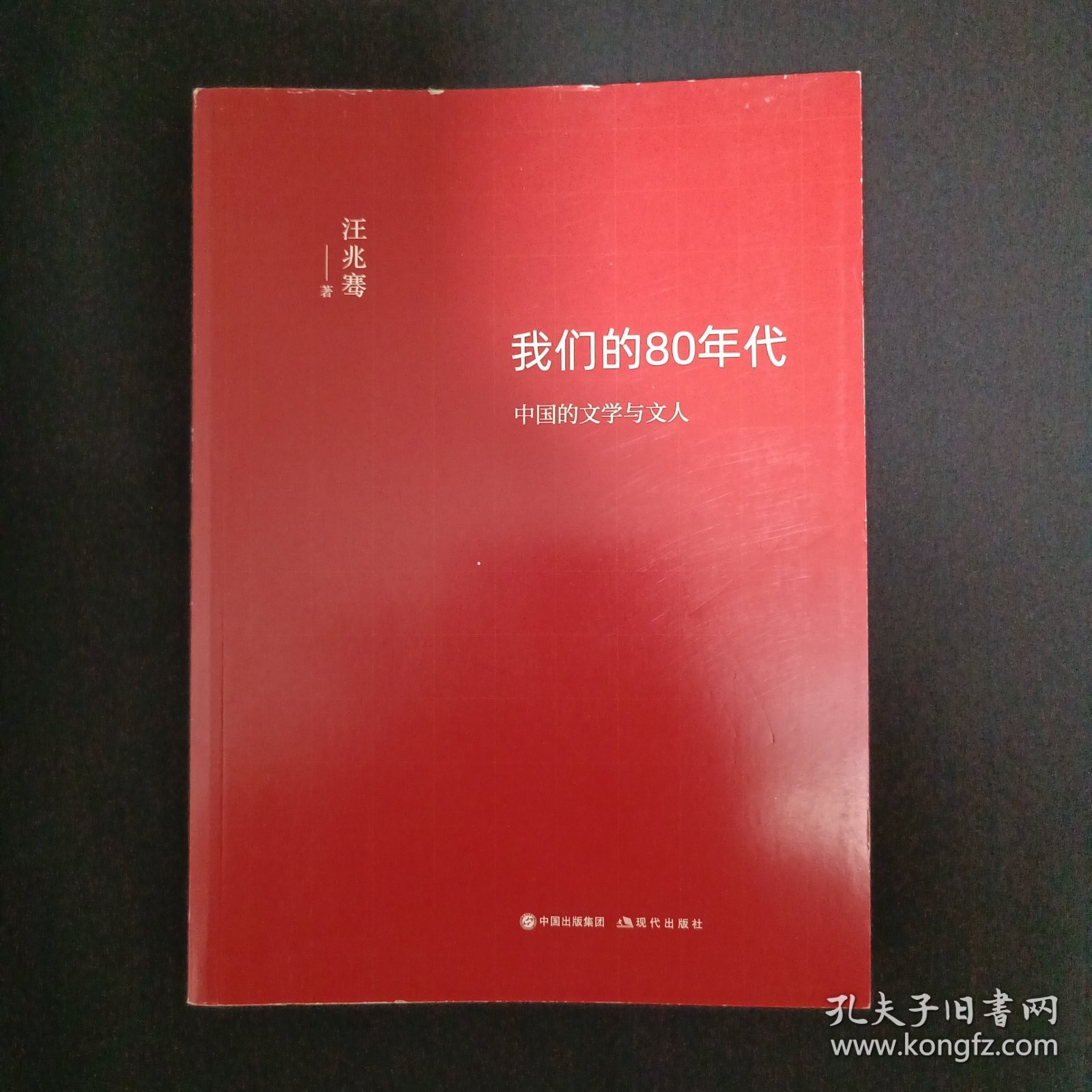 我们的80年代：中国的文学与文人（C1）（见图）