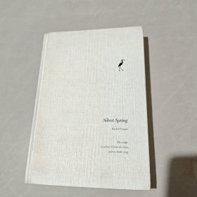 寂静的春天