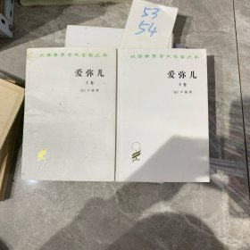 爱弥儿：论教育