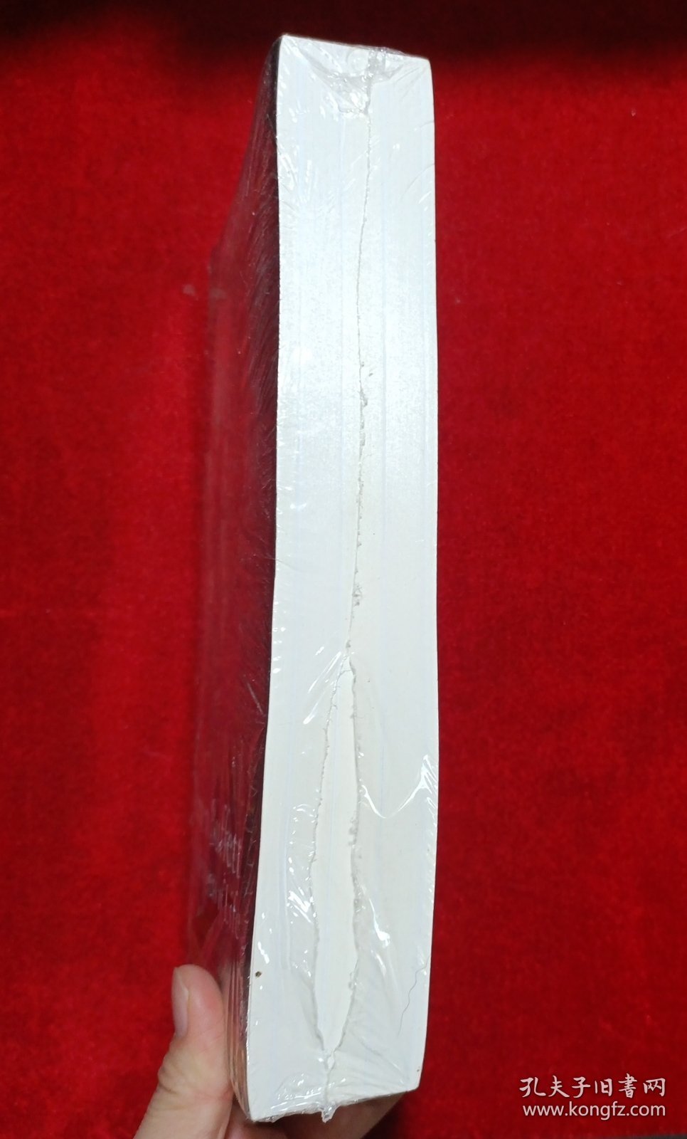 The Snowball: Warren Buffett and the Business of Life 滚雪球：巴菲特和他的财富人生