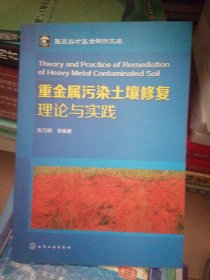 重金属污染土壤修复理论与实践
