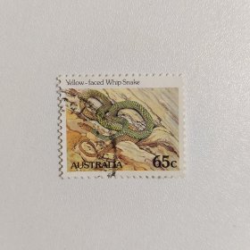 外国邮票 澳大利亚邮票蛇类 信销1枚 如图