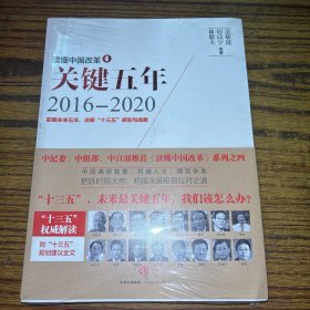 读懂中国改革4：关键五年2016--2020