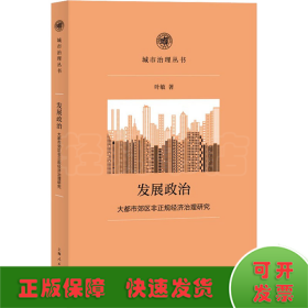 发展政治 大都市郊区非正规经济治理研究