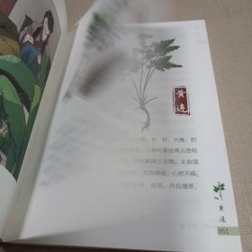 你好，中草药（清热药）