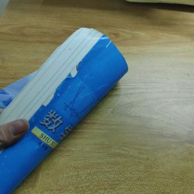 数学. 九年级. 下册