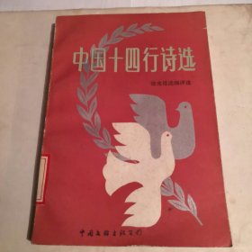 中国十四行诗选