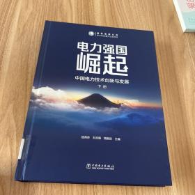 电力强国崛起——中国电力技术创新与发展（全两册）