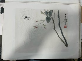五十年代荣宝斋木版水印 十张（8开）