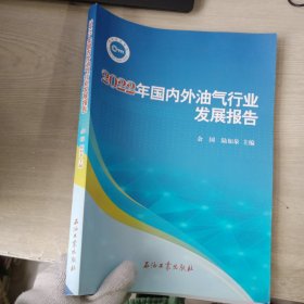 2022国内外油气行业发展报告