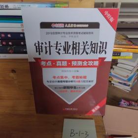 审计专业相关知识考点 真题 预测全攻略