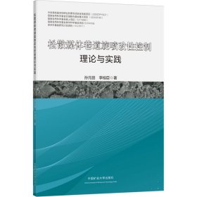 松散煤体巷道旋喷改性控制理论与实践