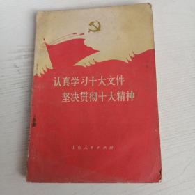 认真学习十大文件坚决贯彻十大精神