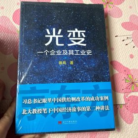 光变：一个企业及其工业史