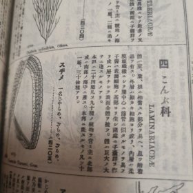 大植物图鉴（民国时期的 日文版 罕见 看描述）