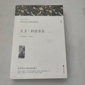 大卫科波菲尔上册