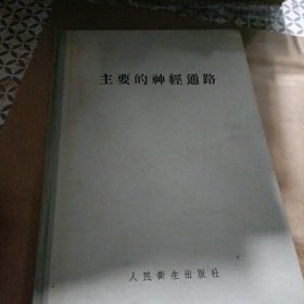 主要的神经通路 神经静脉 穴位