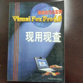 Visual FoxPro 6.0中文版编程技巧与实例