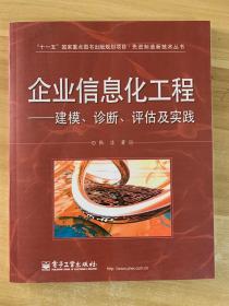 企业信息化工程：建模、诊断、评估及实践