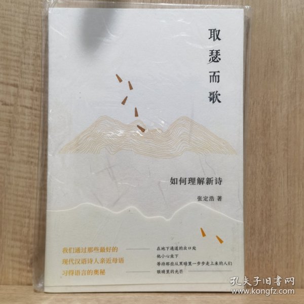 取瑟而歌：如何理解新诗