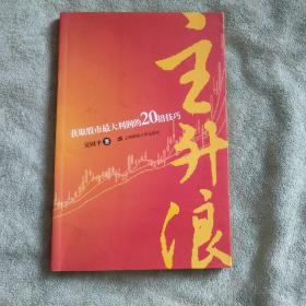 主升浪：获取股市最大利润的20招技巧