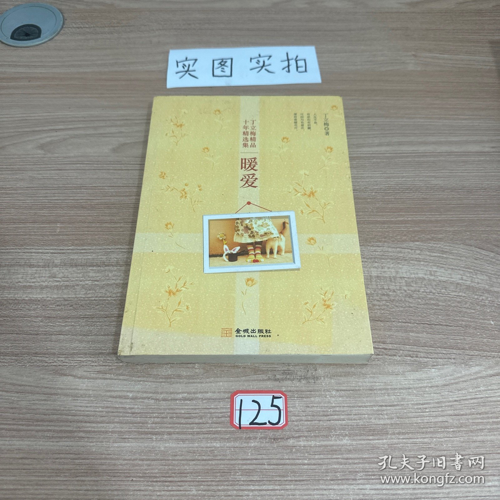 丁立梅精品十年精选集：暖爱