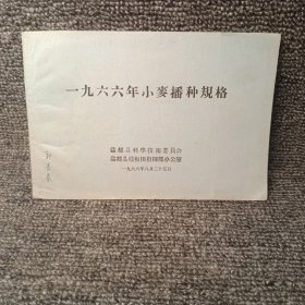 一九六六年小麦播种规格