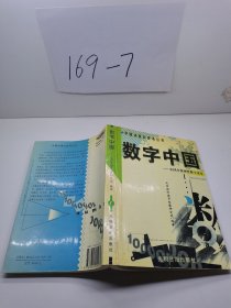 数字中国:中国非保密性数字读本