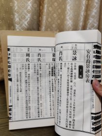 上湘豐山李氏族谱 楚传裔國任房 中下两册 陇西堂