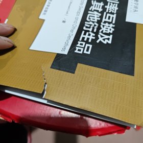 利率互换及其他衍生品（金融学译丛）