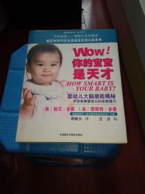 WOW! 你的宝宝是天才：一本关于12个月以内的婴儿大脑生长和开发的权威指导手册