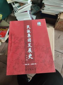 民族集團(tuán)發(fā)展史（1954年—2004年）
