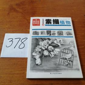 智慧生活-从零起步学素描（全4册）