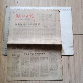 湖北日报农村版 1963年8月21日：回乡知识青年的好榜样、为什么说三国条约有百害而无一利？、等