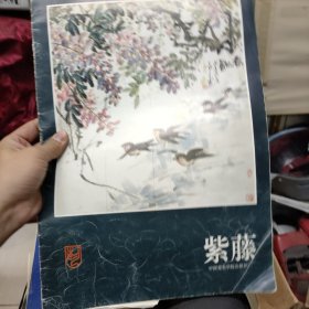 紫藤