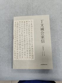 丁文诚公家信