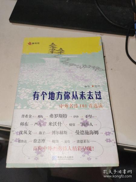 有个地方你从未去过：中外名诗101首选读