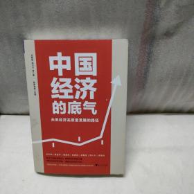 中国经济的底气：未来经济高质量发展的路径（顶级经济学家+一流专业解读）